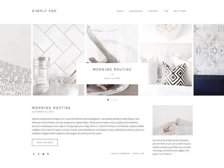 Simply Pro WordPress Theme