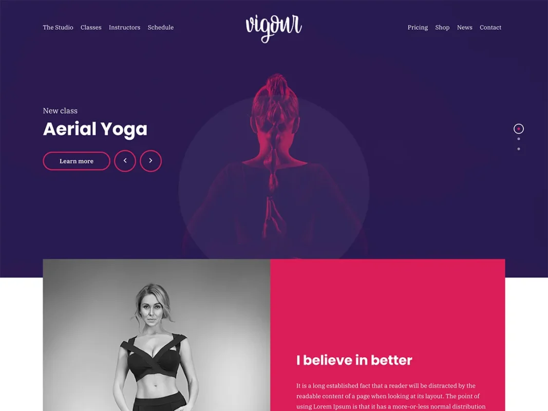 Vigour WordPress Theme & CSSIgniter