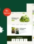 Broccoli - Organic Food Store Shopify Theme OS 2.0