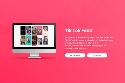 TikTok Feed plugin for WordPress - QuadLayers