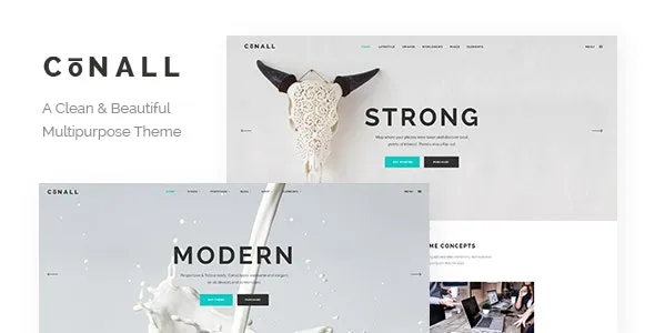 Conall - Clean Multipurpose Theme