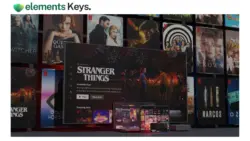Netflix Account Premium 1 Screen – 6 Month Shared Subscription
