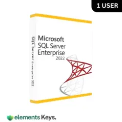 Microsoft SQL Server 2022 Enterprise Edition 1 User