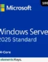 Windows Server 2025 Standard 24 core for 100 user