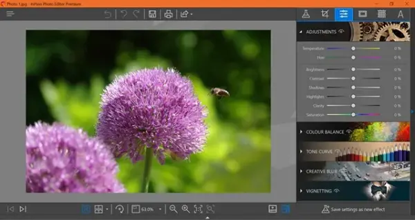 InPixio Photo Clip 7 Professional