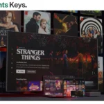 Netflix Account Premium 4K + HDR – 3 Month Subscription