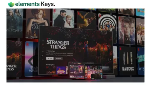 Netflix Account Standard 1080p – 1 Month Subscription