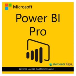 Power Bi Pro Account+Password Lifetime License (Customize Name)