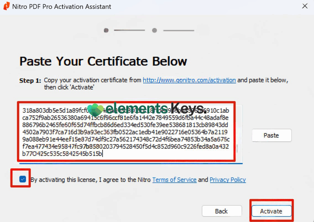 Nitro PDF Pro 14/13 Activation Step