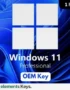 Windows 11 Professional OEM License Key – 1 PC