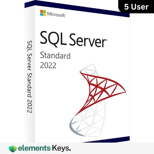 SQL Server 2022 Standard License 5 User – Lifetime