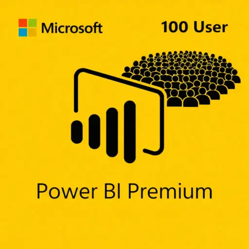 Power BI Premium 100 user